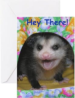 CafePress Possum/Opossum Birthday Card Folded Greeting Card Glossy
