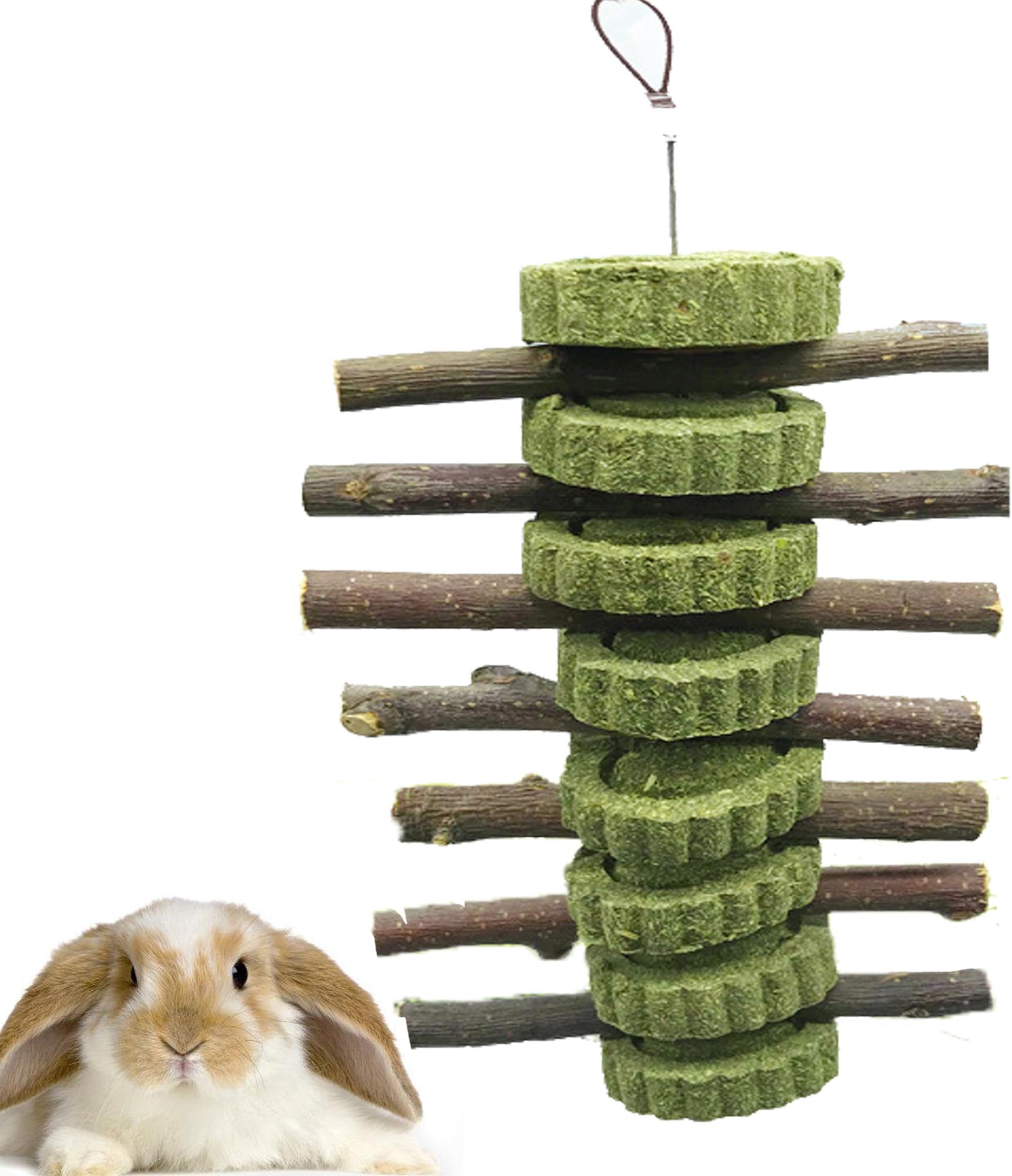 Maotrade 2-tlg. Kaninchen Kauspielzeug - Natürliches Apfelholz Für Gesunde Zähne