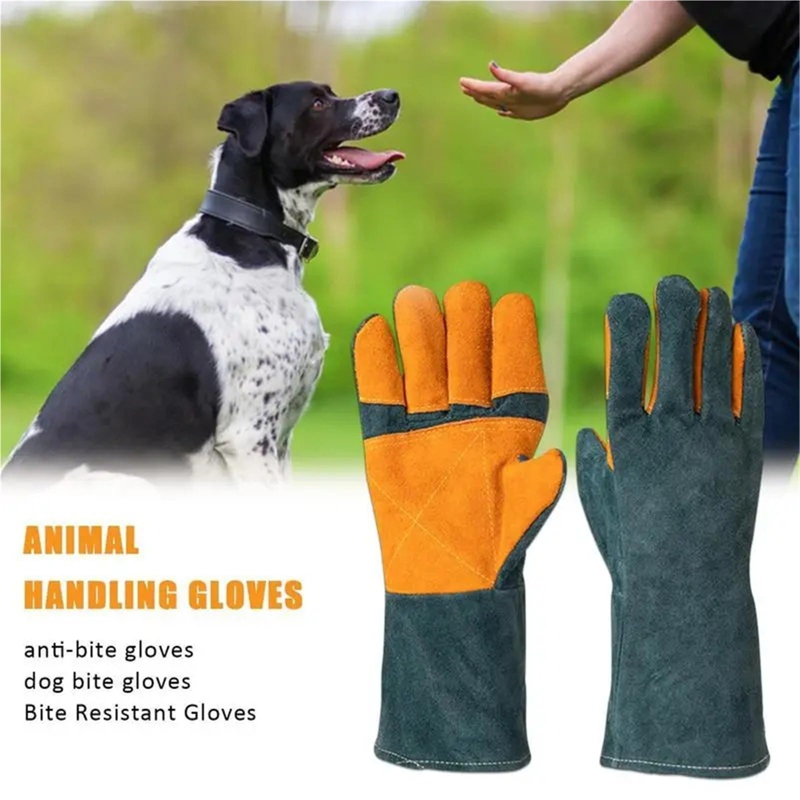 Gants polyvalents pour la manipulation d'animaux pour le toilettage, les perforations et les rayures