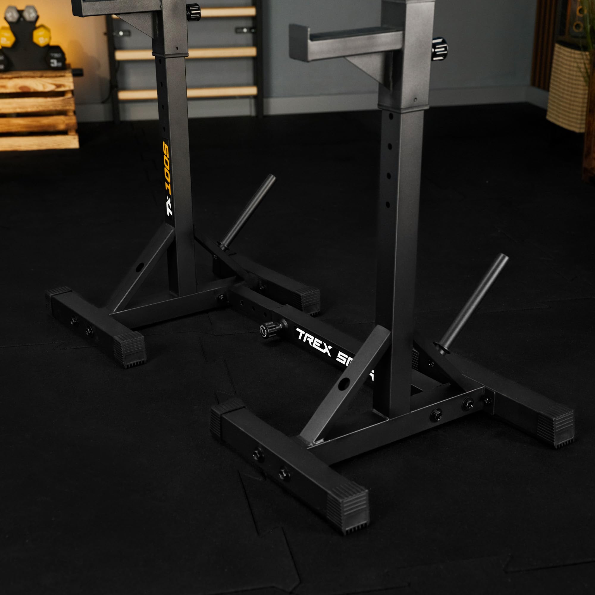 TREX SPORT Langhantelständer Squat Rack Dip-Griffen bis 250 kg TX-100S | Hantelablage höhenverstellbar mit Sicherheitsablage, Hantelscheibenaufnahmen aus Metall