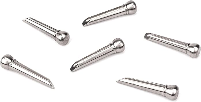 DAddario Titanium Bridge Pins PWPS13 6 Bridge Pins