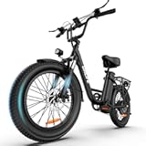 URLIFE Electric Bike for Adults, 1000W Peak Motor Ebike, 48V 13Ah Removable Battery, 28MPH,80 Miles Max, 20" Fat Tire Electric Bicycle with Colorful Display, All-Terrain E-Bike for Adults and Teens