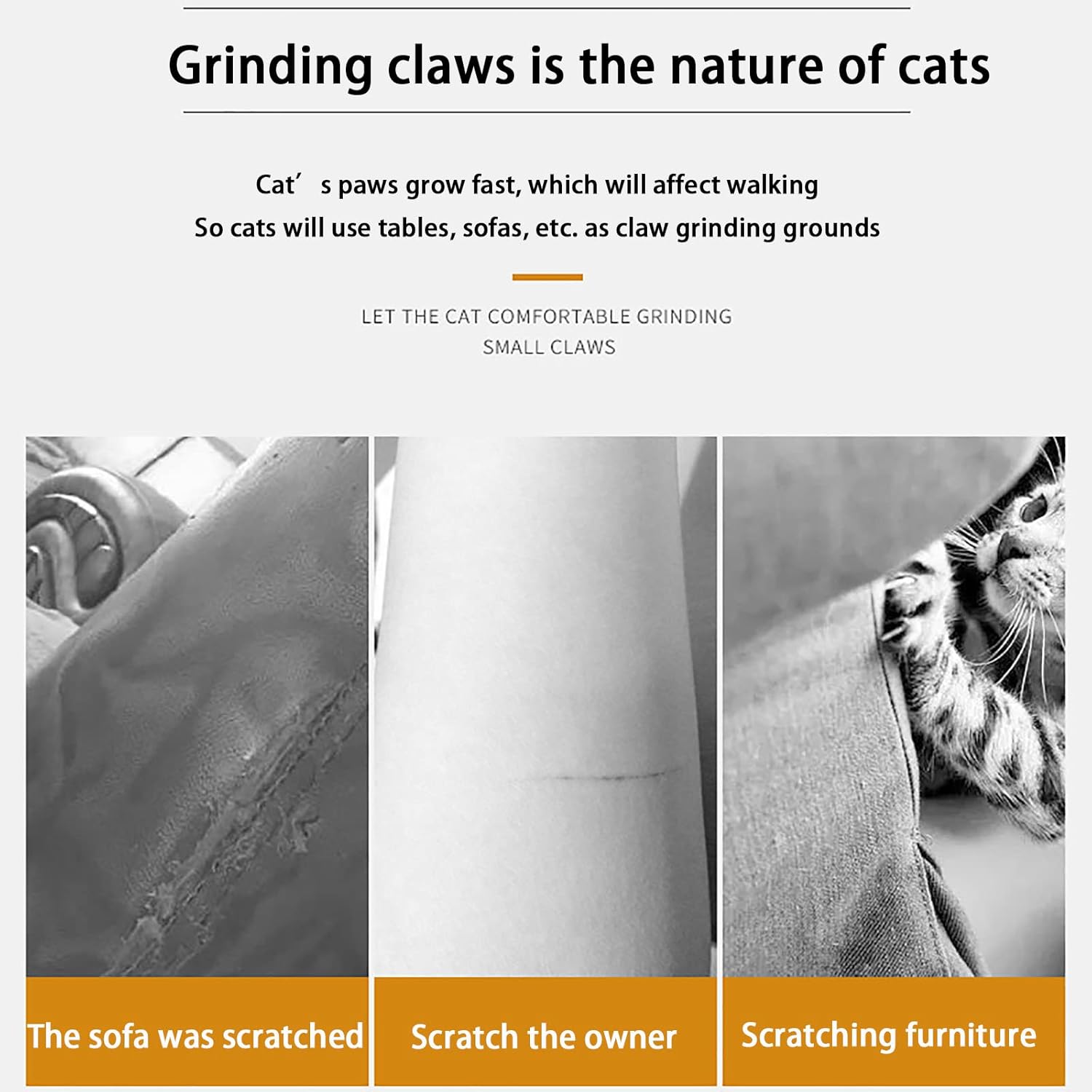 review Cat Scratching Post,Watermelon Cat Scratcher Cat Bed with Sisal Rope, with Stable Base,Natural Wear-Resistant Sisal Scratching Posts Cat Toys Seats Furniture for Climbing
