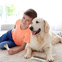 Vista 3 de Glaciart One Hueso masticable de lana de fieltro para perros (3 piezas) Juguete duradero para masticar perros, juguetes masticables para cachorros