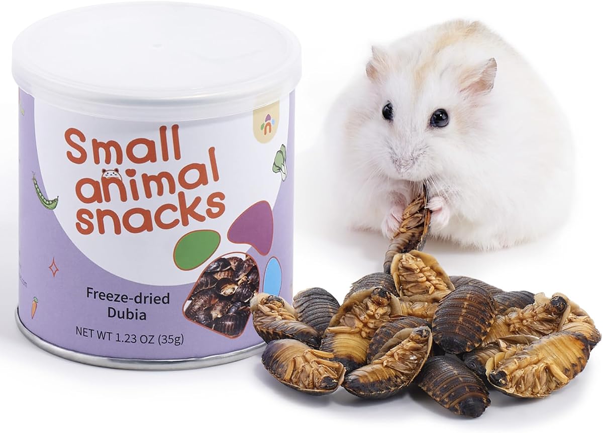 Niteangel Hamster Snack & Treats Toy: Dubia liofilizado y sin aditivos | Proporciona vitaminas y minerales esenciales: tratamiento natural para animales pequeños para hámsteres sirios enanos, jerbos, ratones, degus o mascotas pequeñas