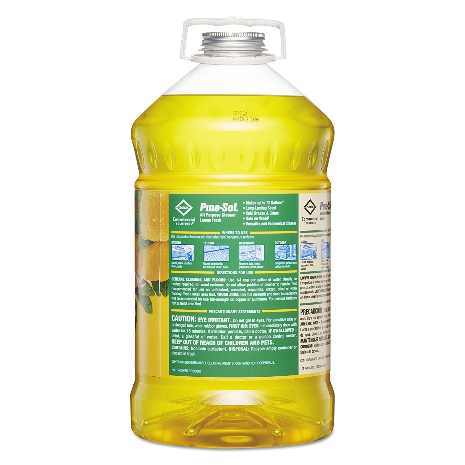 Pine-Sol COX35419CT-SPR Purpose-Cleaner-Solution - Buy Online ...