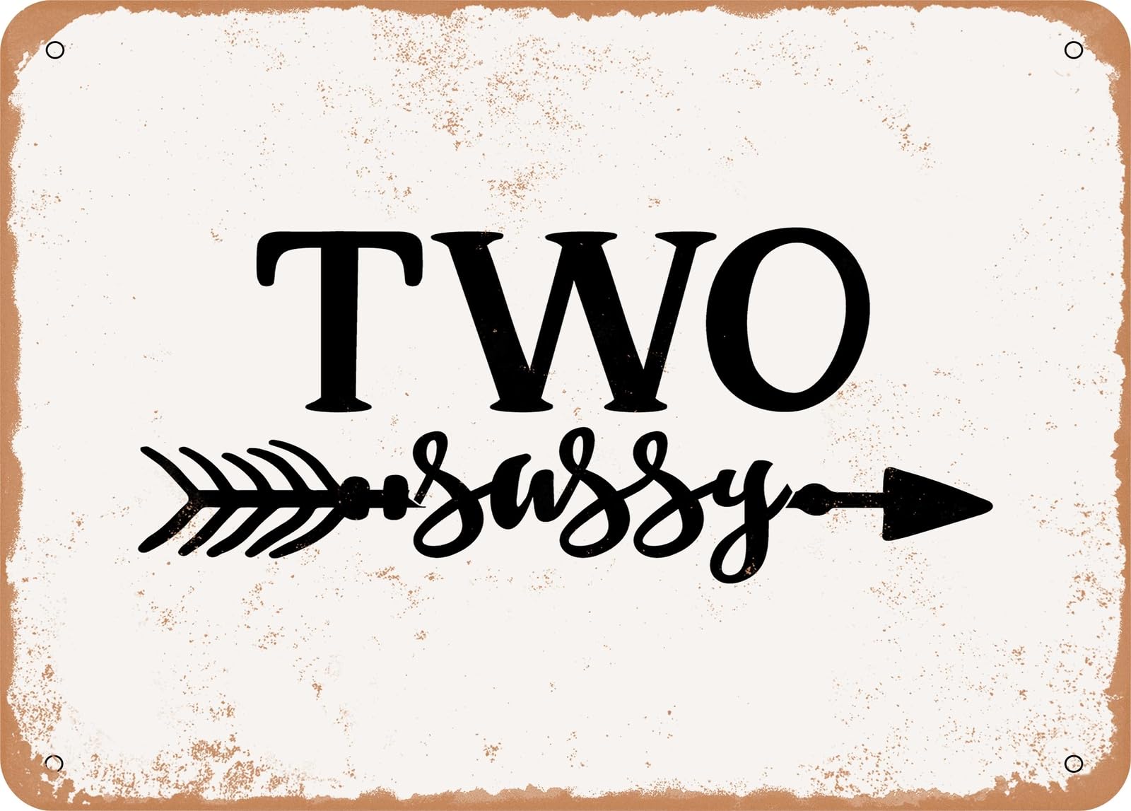 Metal Sign - Two Sassy - 2 - Vintage Look Sign home decor