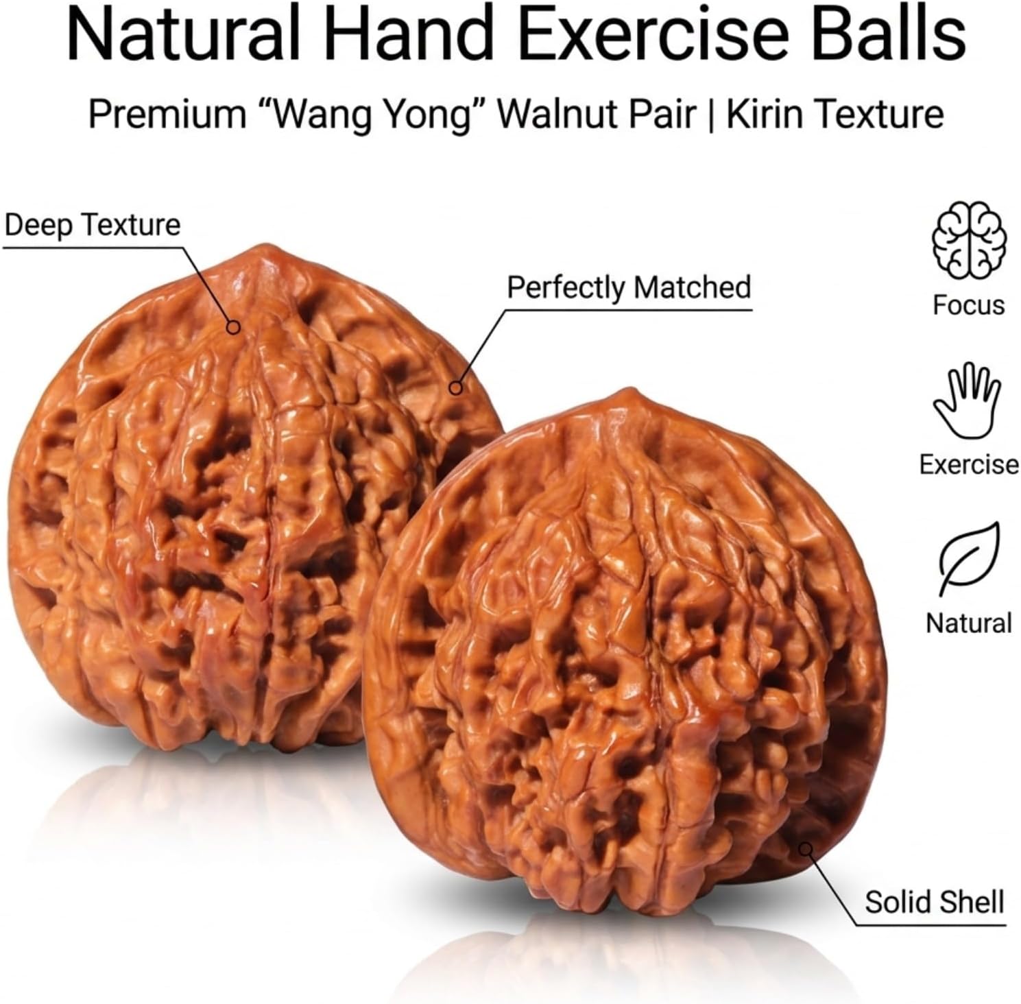 2026 New Wenwan Walnuts – Chinese Walnuts Fidget Stress Relief Health Care Ball Toy for Massage and Stress Relief