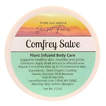 Comfrey Salve | Organic, Non-GMO, Small-Batch Herbal Balm | Family Made in WV | 2 oz Jar