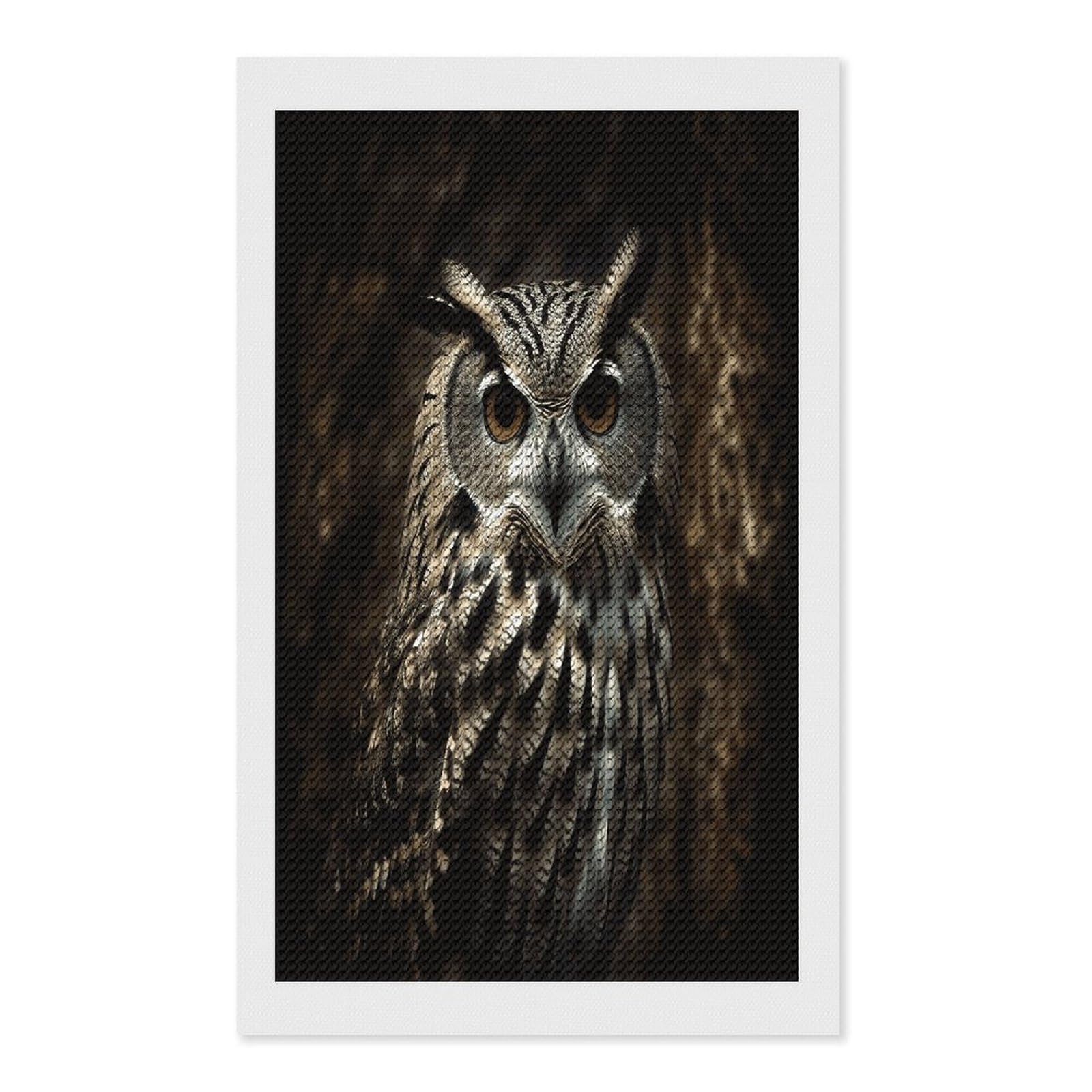 an Owl Diamond Art Kits for Adult Round Full Drill Diamond Dots Paintings for Beginner Picture Art DIY Diamond Painting Kits 5D Diamond Art Painting for Home Wall Decor 12"x20"