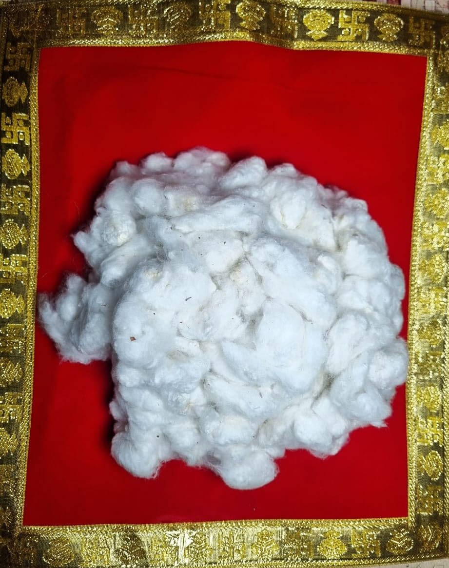 Pure Raw Cotton for Puja with Seeds 250 Grams unprocessed Natural Color, Organic for Making Wicks vattulu batti Flower Diya Any Craft Articles for All Festivals with Your Hands at Home-picture-16