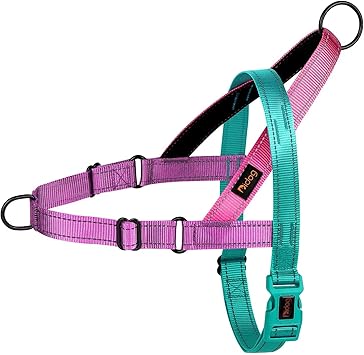 Didog No Pull Dog Harness with Soft Padded Handle, Quick Fit & Lightweight Adjustable Vest Harness, Easy for Training Walking for Small & Medium and Large DogsDark Green,S