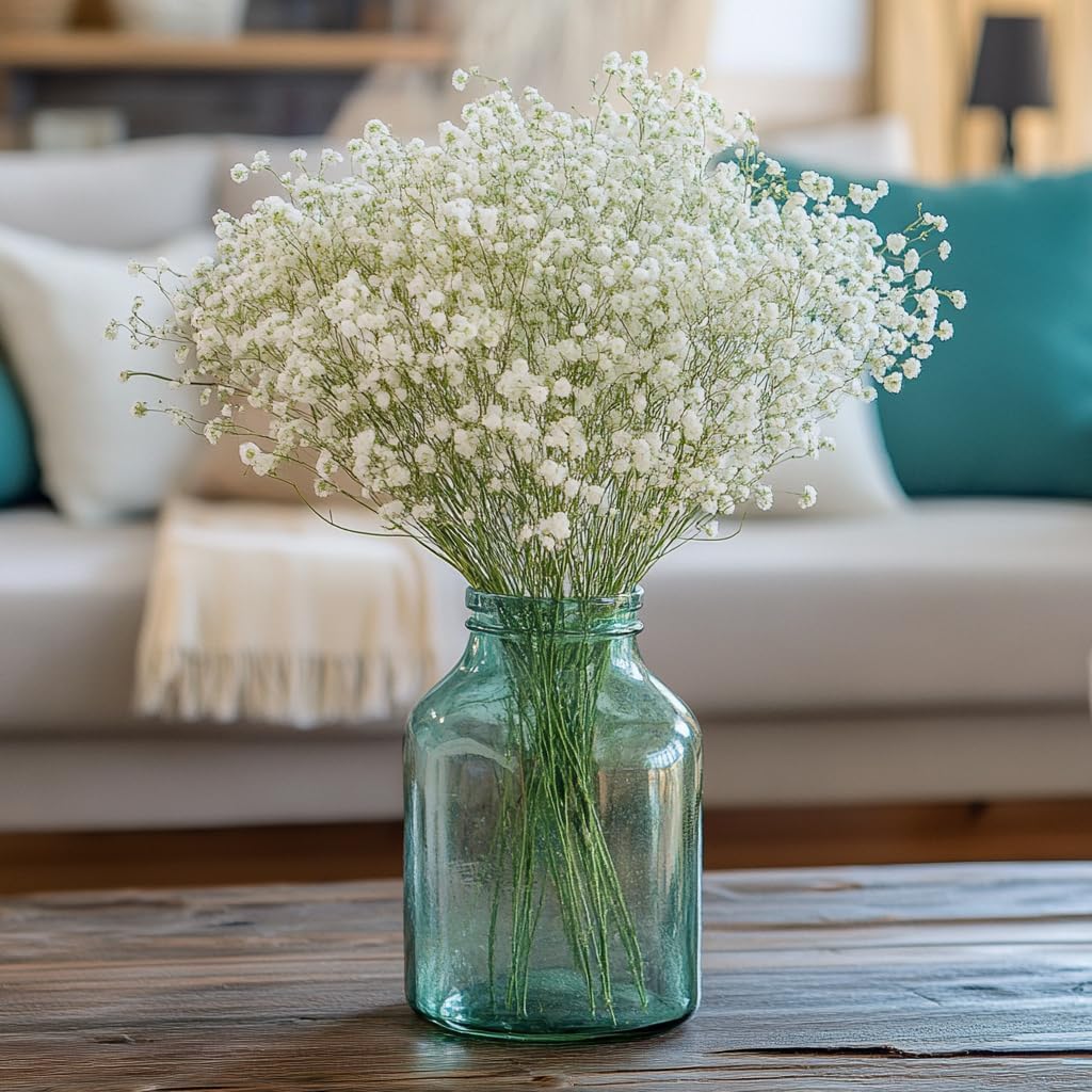 GlobalRose 30 Stems of Fresh Cut Gypso Perfecta Fillers - Baby's Breath Fillers - Fresh Flowers Perfect for Wedding