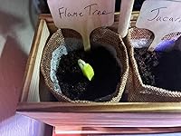 Review Image by BoxHound