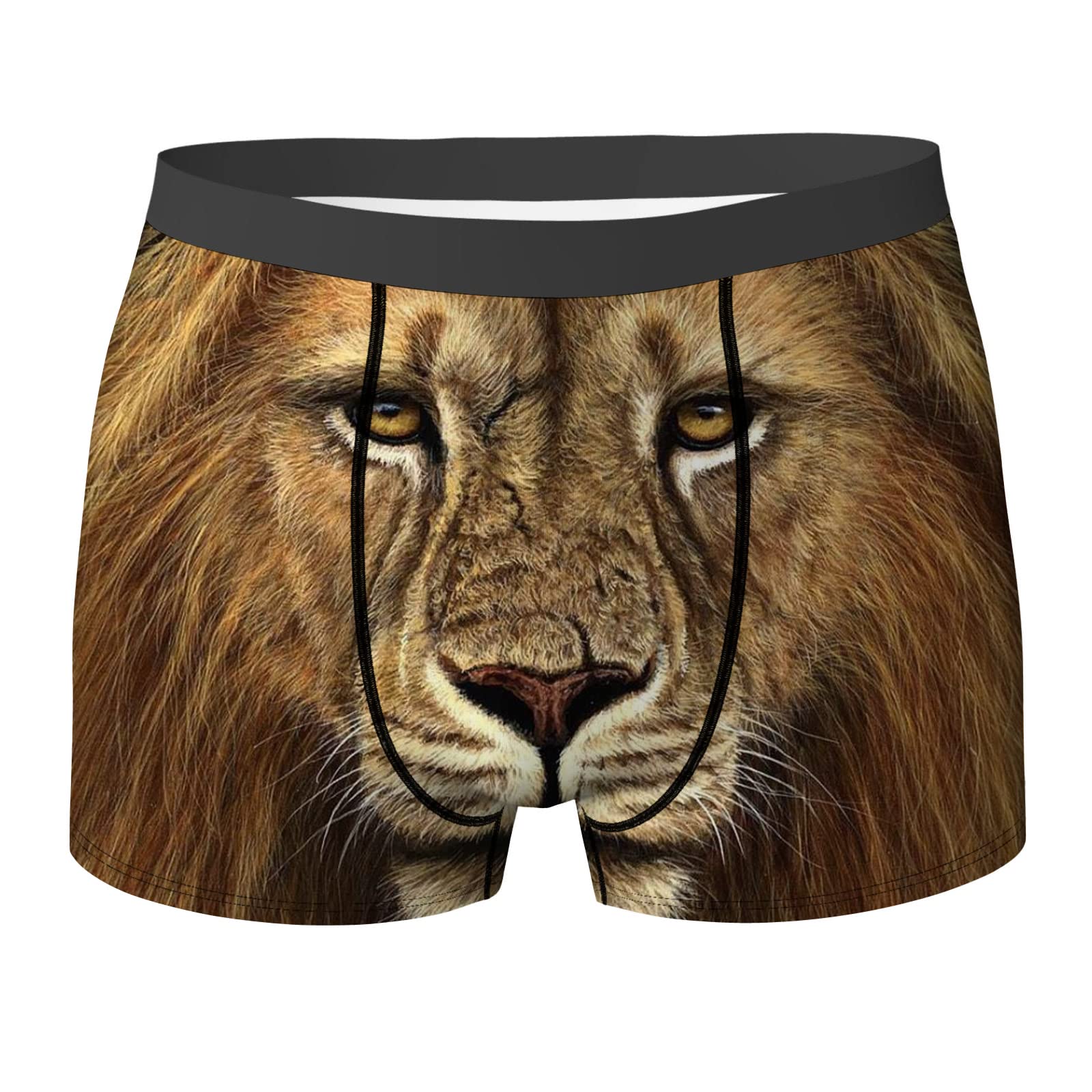 AOOEDM Cool Men's Lion Boxer Briefs Underwear Boxers for Men Classic Breathable Comfort Underpants