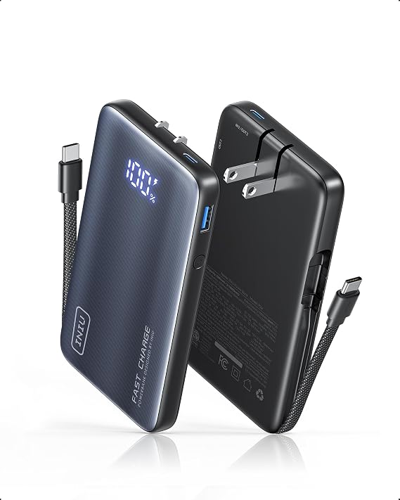 INIU Portable Charger