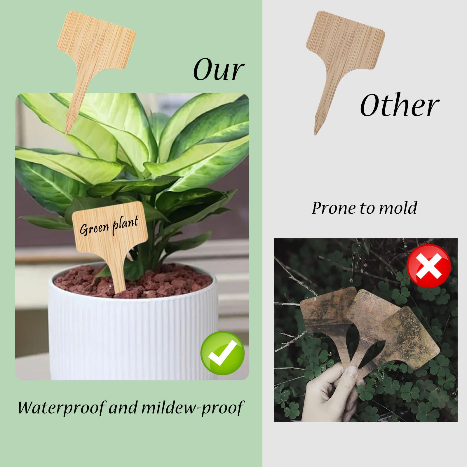 Etichette per piante ornamentali e da frutto