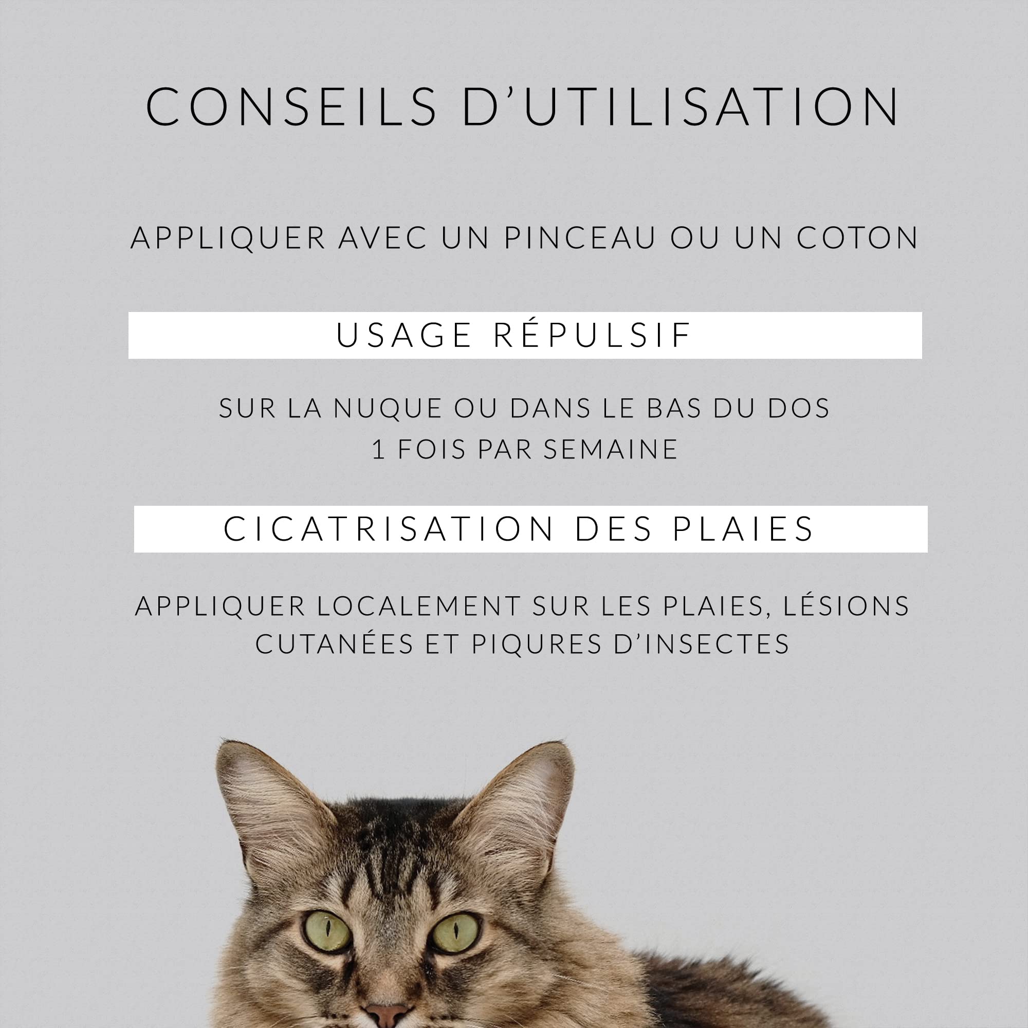 Distillerie des Cévennes - Huile de Cade pour Chats - 250g - La Seule Huile 100% Fabriquée et Distillée en France