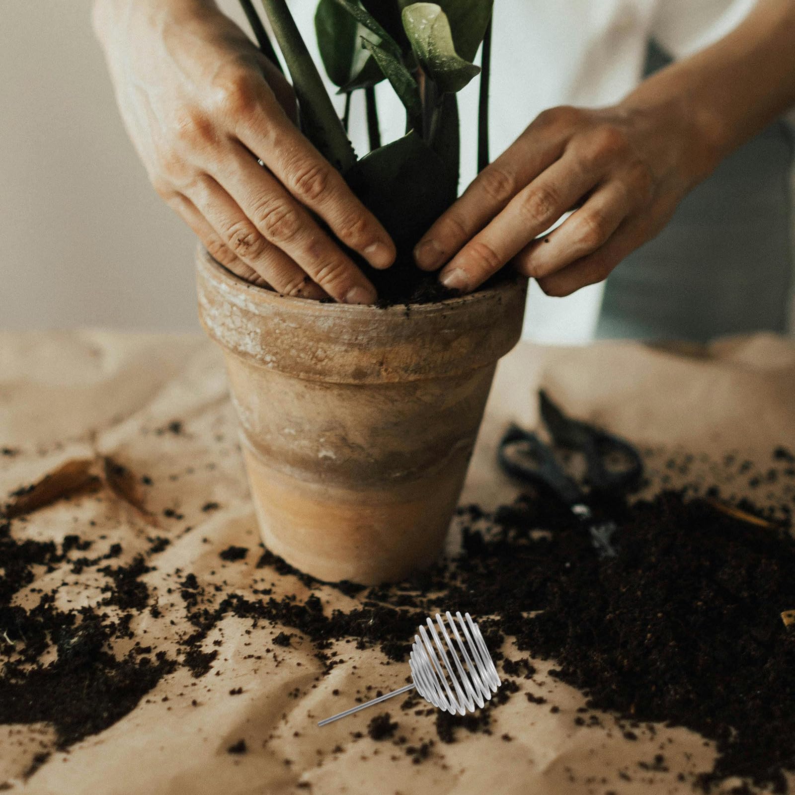 50piezas Caja De Fertilizantes Para Bonsái De Acero Inoxidable Contenedores De Fertilizantes Para Jardín Nutrientes De Liberación Lenta Para Plantas Suculentas