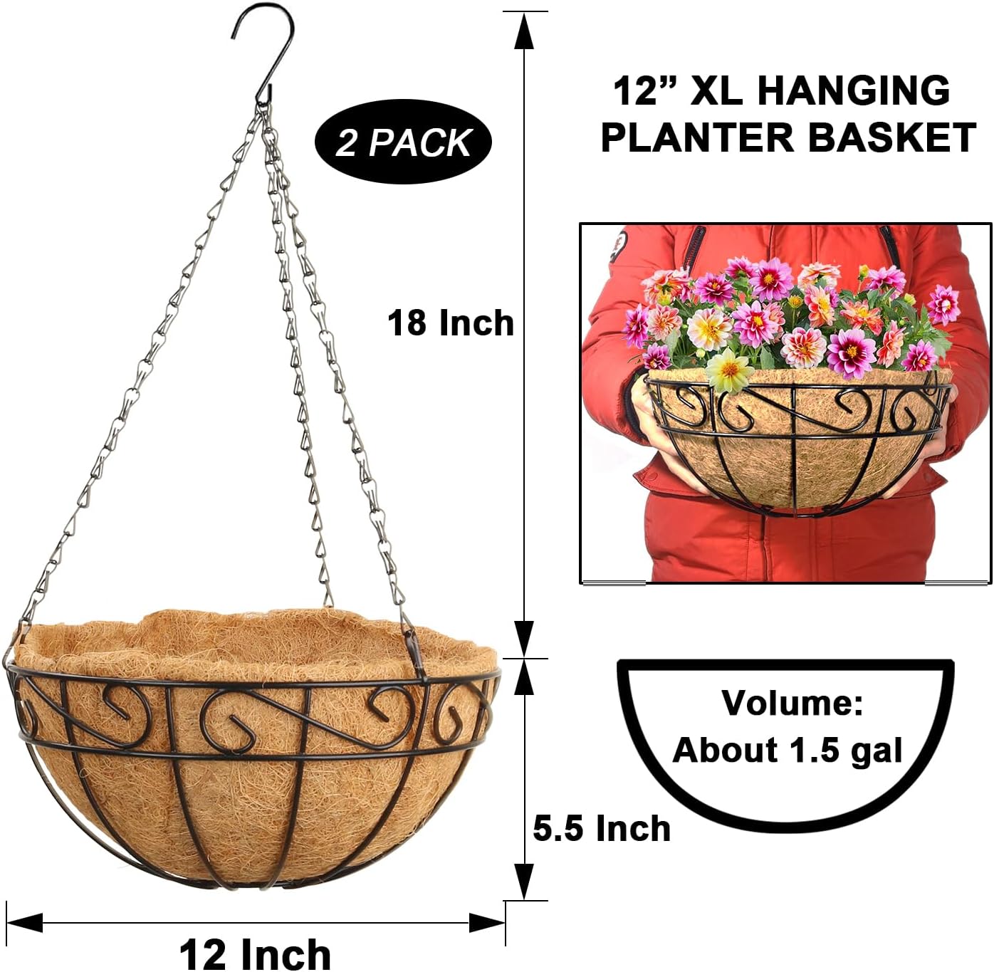 Free-Air 12 Inch Metal Hanging Planter Basket with Coir Liner 2 Pack,Iron Hanging Baskets for Plants Outdoor with Chain,Large Wire Plant Holder Flower Pots Hangers for Home Garden Balcony Decor