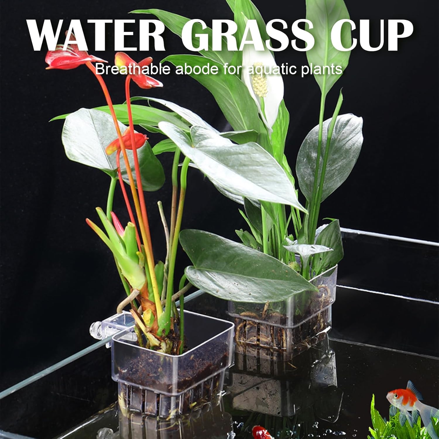 12 Pack Top Hanging Fish Tank Plant Pot Clear Aquarium Plant Holder with Hook Aquatic Plant Cup Holder Aquarium Aquatic P-lant Pot Water Landscape Decoration for P-lant Water Feature Decoration