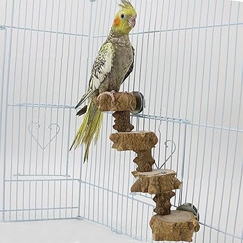 Amazon | 木製の鳥の止まり木、木に登るペットのオウム |木製鳥