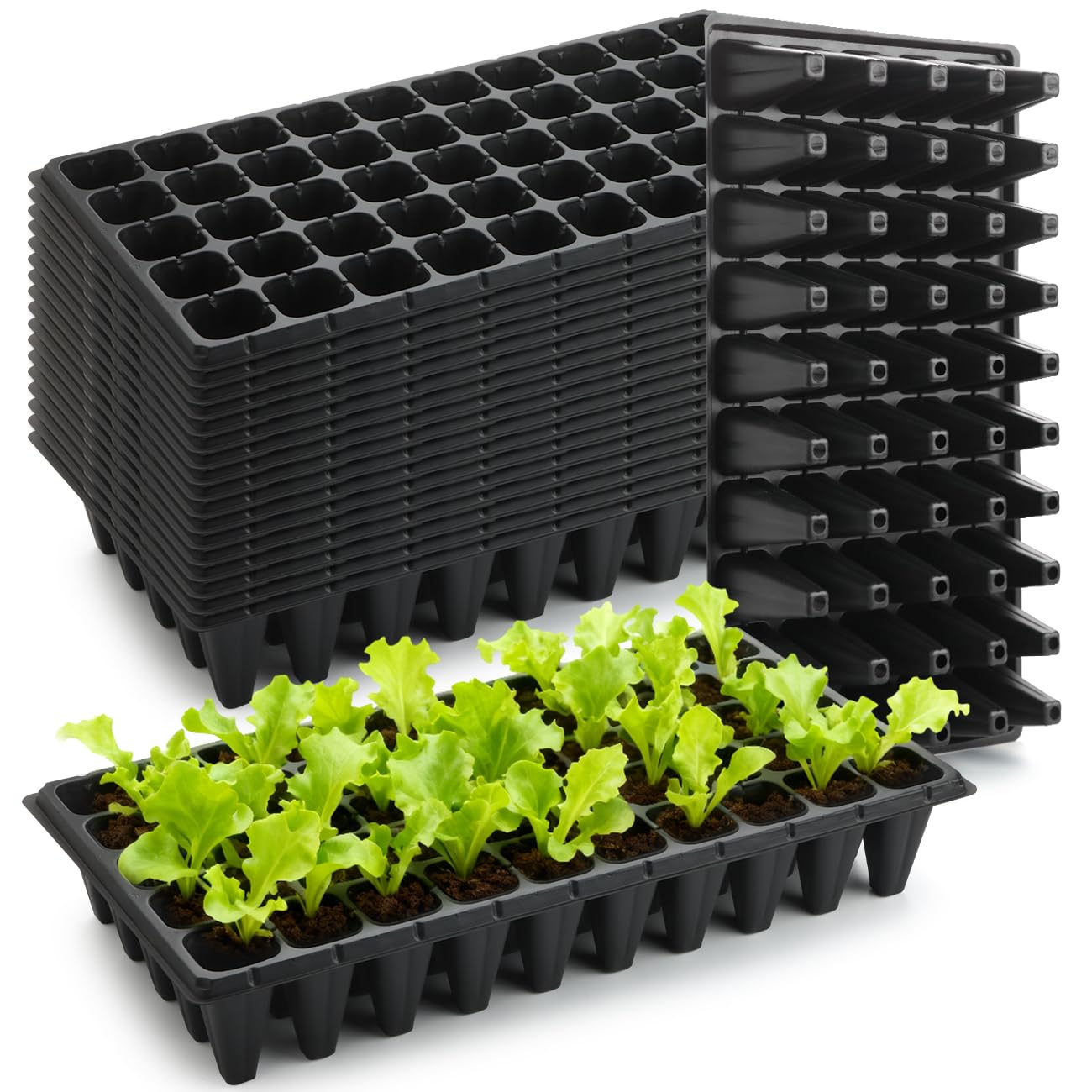 RooTrimmer 50-Pack Extra-Deep Tray