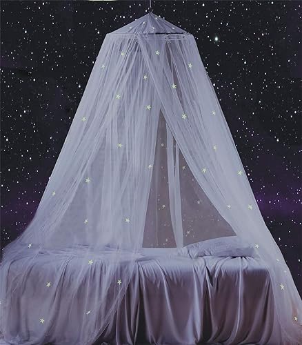 South to East White Bed Canopy for Girls with Glowing