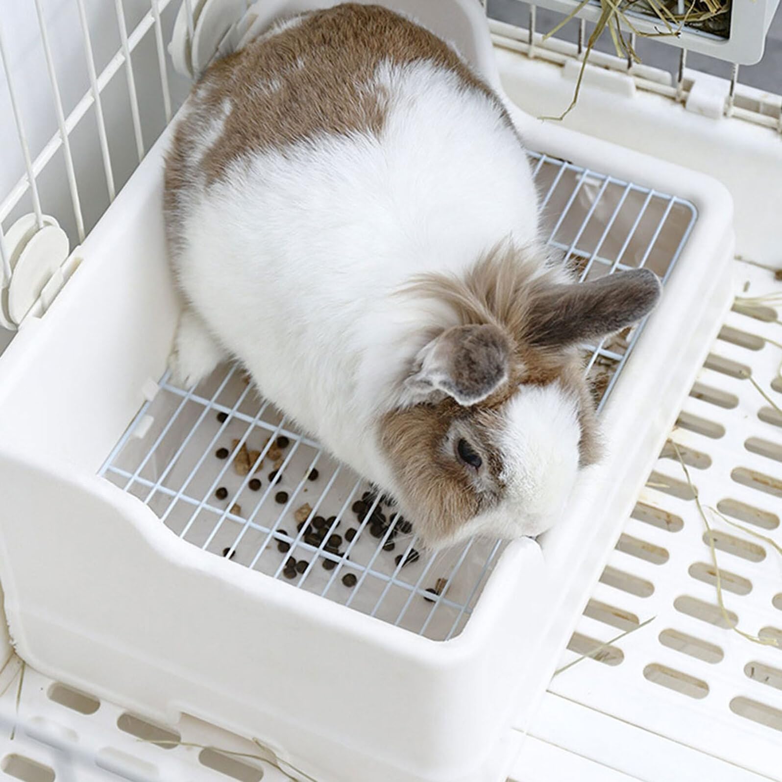 Lettiera per Conigli e Piccoli Animali, Vasino per Coniglietti in Materiale Durevole, Padella per Addestramento in Gabbia Ingresso Basso, Adatta a Criceti e Porcellini D'india,