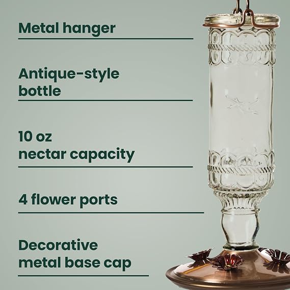 Perky-Pet Antique Glass Bottle Hummingbird Feeder - Outdoor Garden Decor Hummingbird Feeder - 8107-1SR - 10 Fl Oz Nectar Capacity - Durable Humming bird Feeder for Backyards, Porches, Decks, Hooks