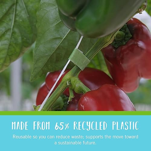 Miniatura 6 de VELCRO Brand VEL-30087-AMS Paquete Inicial de Lazos ONE-WRAP para Jardines en Contenedores o Plantas de Interior, 12 piezas, Pre-Cortados, 6 in x