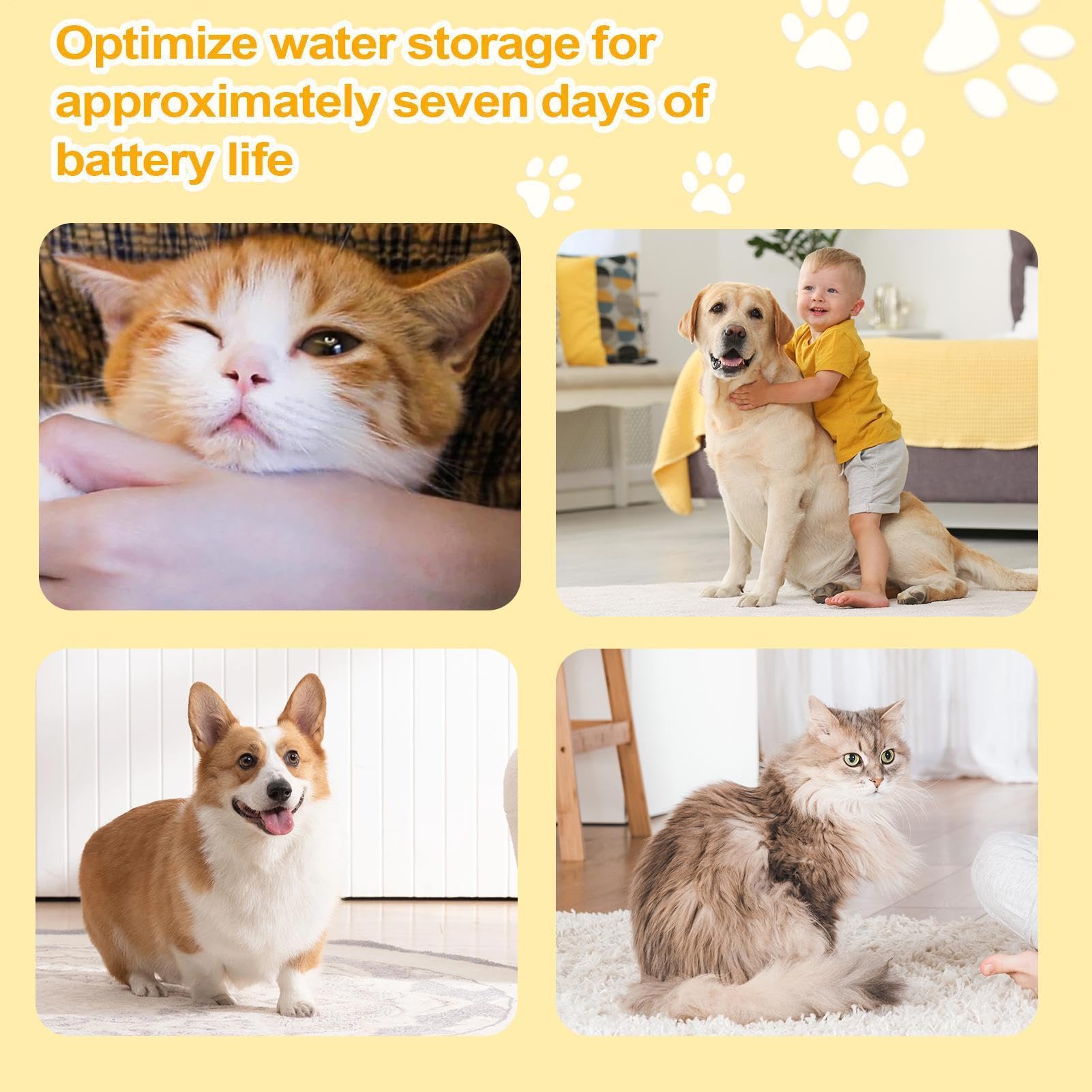 Distributore D'Acqua Per Animali Distributore USB Con Filtro | Fontana Elettrica Per Adatto Ad Animali Domestici Gatti Cuccioli Casa Soggiorno Pavimento Angolo
