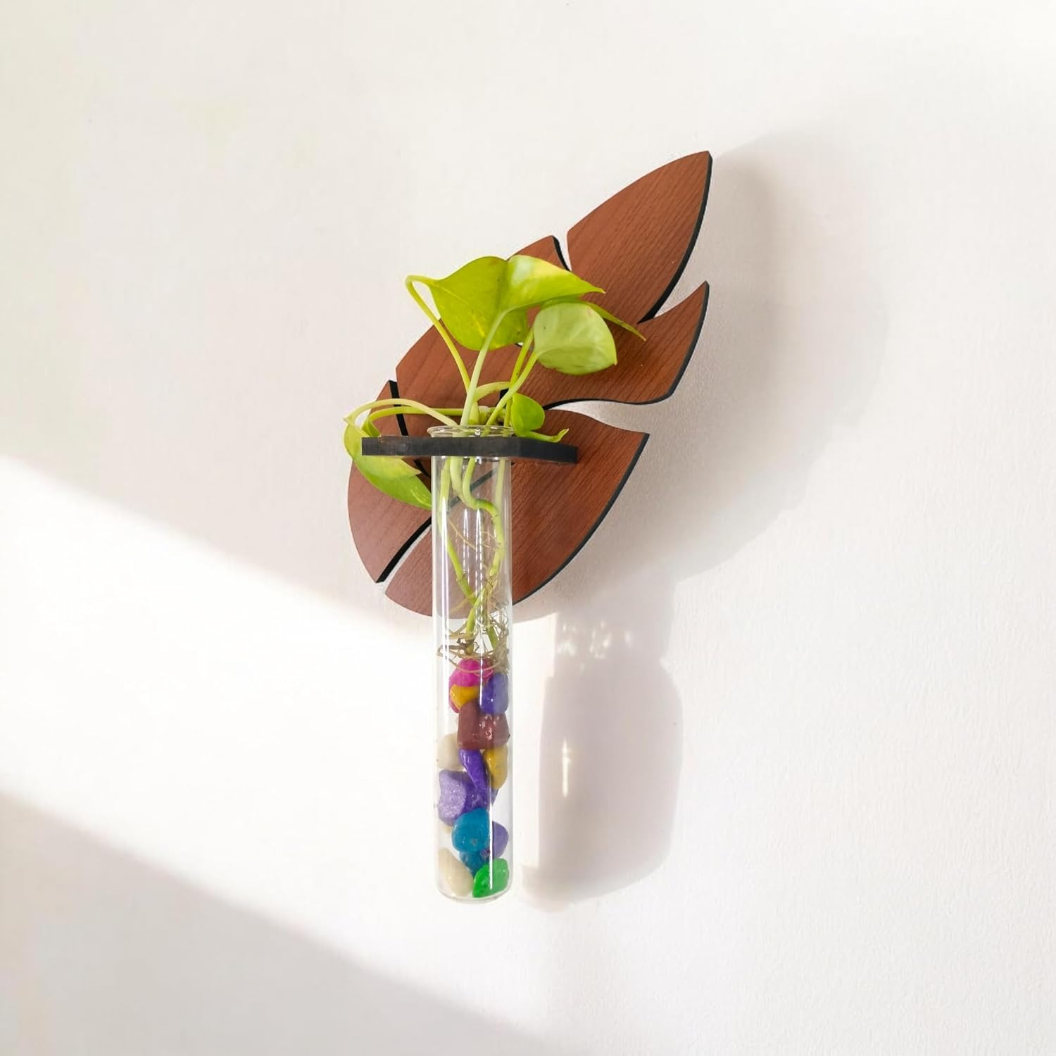 Yey Test Tube Wooden Planter Wall Hanging Leaf Shape for