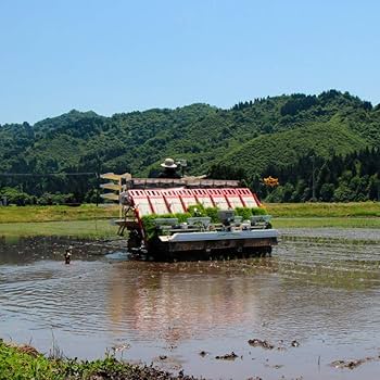 サイトウ5点 Amazon.co.jp: 新米 低農薬栽培米 魚沼産コシヒカリ 無洗米