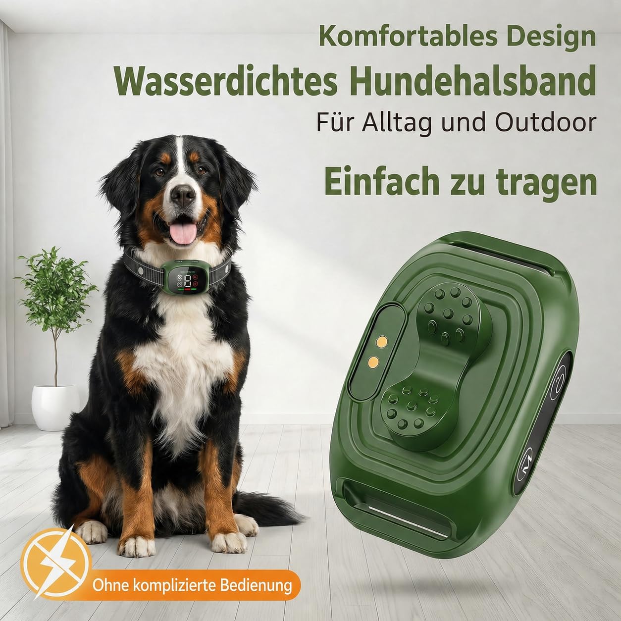 Verstellbares Hundehalsband für Alltag und Outdoor - Leichtes, wasserbeständiges Hundezubehör für Spaziergänge, Garten und Reisen, geeignet für kleine und mittelgroße Hunde (Schwarz) XGQ-002