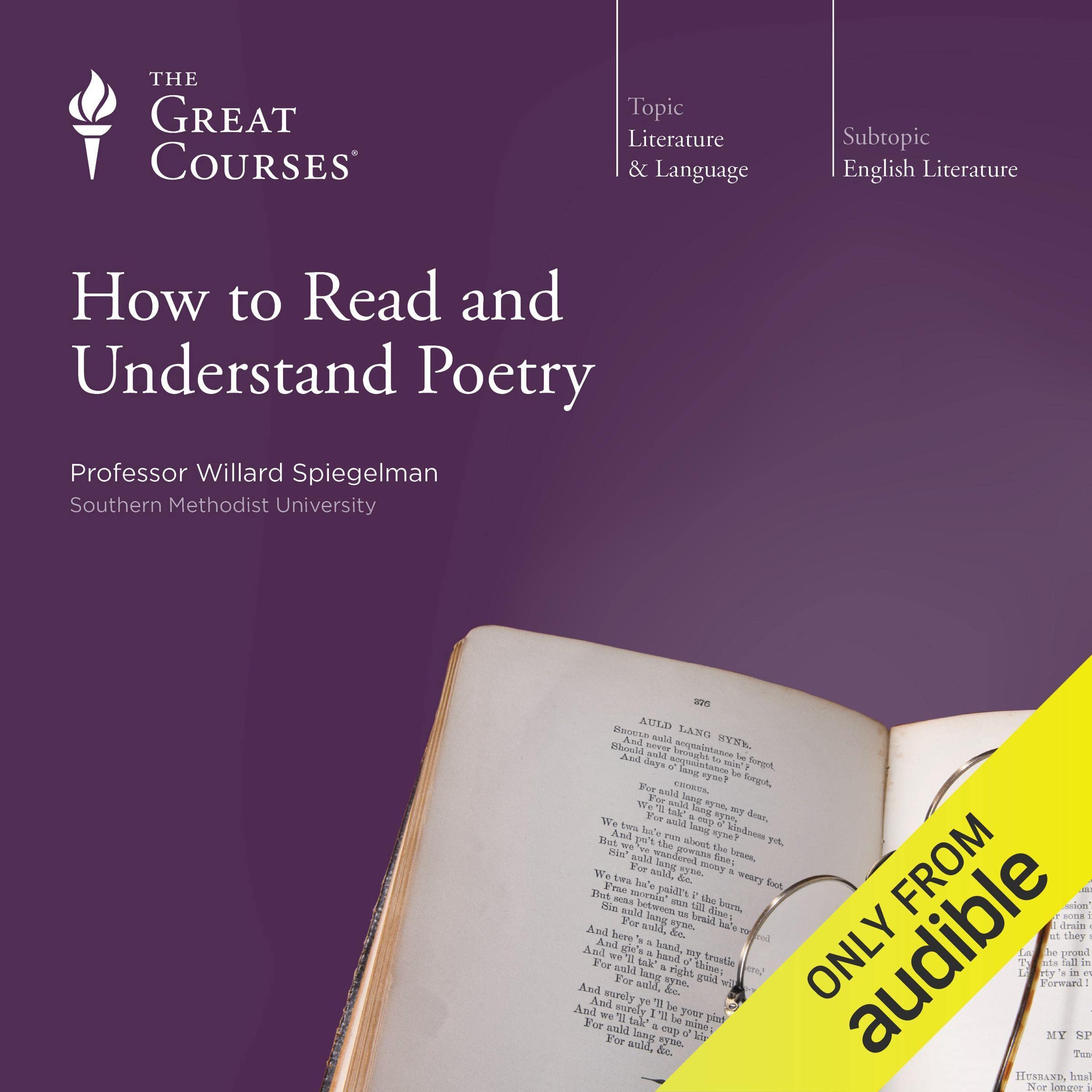 Cover art for How to Read and Understand Poetry