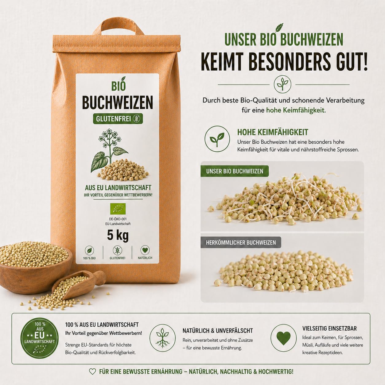 Bäckerei Spiegelhauer Bio Buchweizen geschält 5 kg I Glutenfrei Keimfähig I Aus Litauen I Für Keimbrot Sprossen & Mehl Vegan