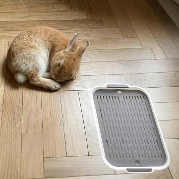 Rabbit Toilet Tray, Portable Kitten Litter Tray, White Rabbit Litter Box Cat Trays, Durable Small Trays for Rabbits Owners, Bunny Llitters Box Easy to Clean (27cmx18.8cmx4cm)
