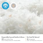 MIULEE 20x20 Inserts d'oreiller, boîte de 2 Feuilles d'oreillers à jet de plumes, tissu décoratif en coton fluffy pour canapé-lit salon