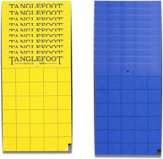 Tanglefoot Sticky Tangle-Trap Cards 20 Pack - 5x7 Double-Sided Yellow & Blue Hanging Traps for Garden, Plants & Greenhouse Use