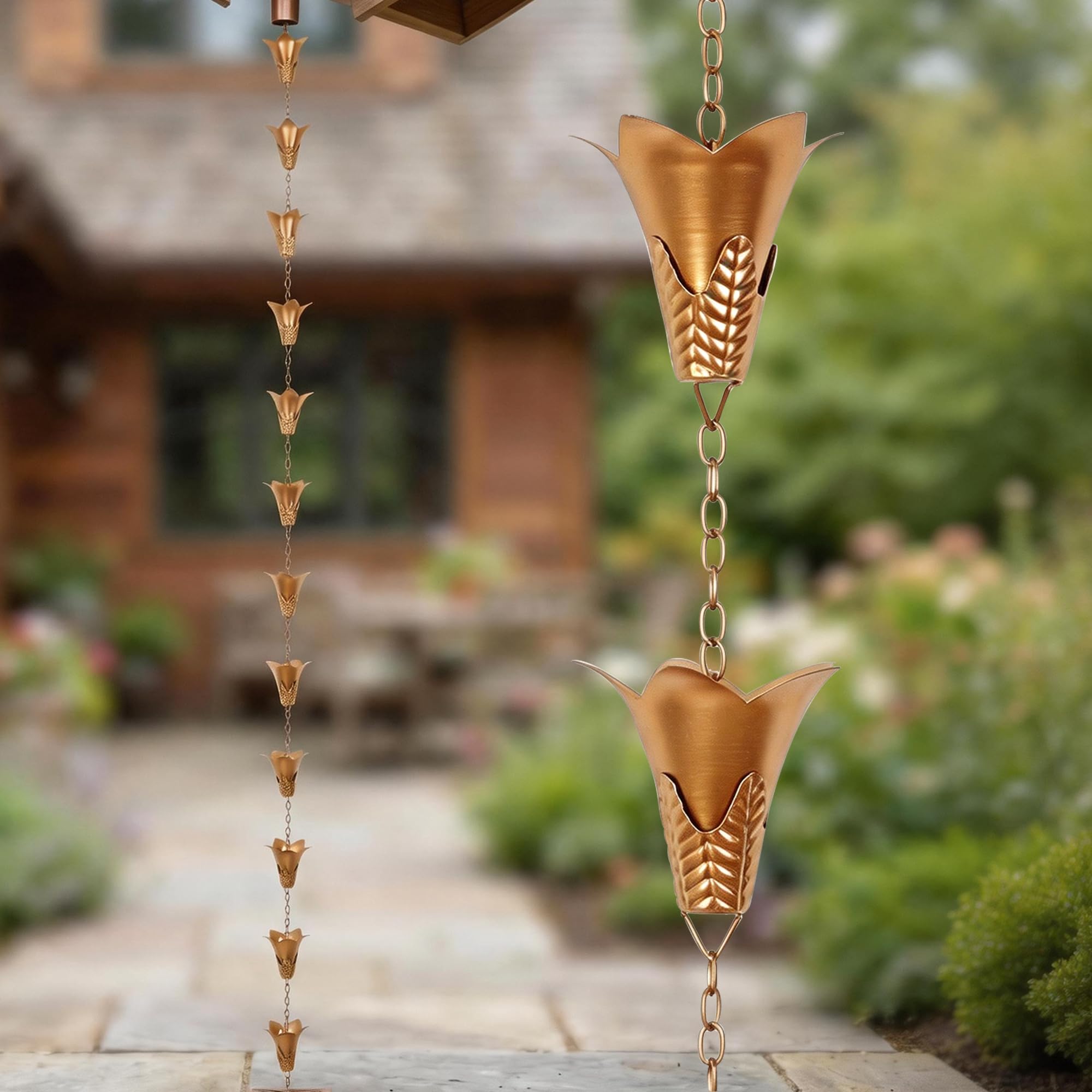 Chaînes de pluie gloire du matin pour embellir votre jardin sous la pluie d'été