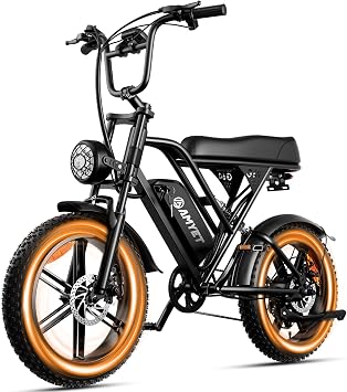 AMYET V9-G60 Electric Bike for Adults, 48V 20Ah960WH Ebike with Removable Battery, 20" Fat Tire E Dirt Bike,Dual Shock Absorber, Adults Electric Bike with UL 2849 Certificaed