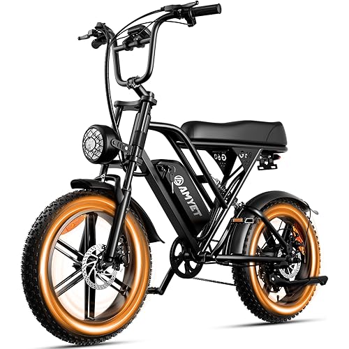 AMYET V9-G60 Electric Bike for Adults, 48V 20Ah(960WH) Ebike with Removable Battery, 20" Fat Tire E Dirt Bike,Dual Shock Absorber, Adults Electric Bike with UL 2849 Certificaed