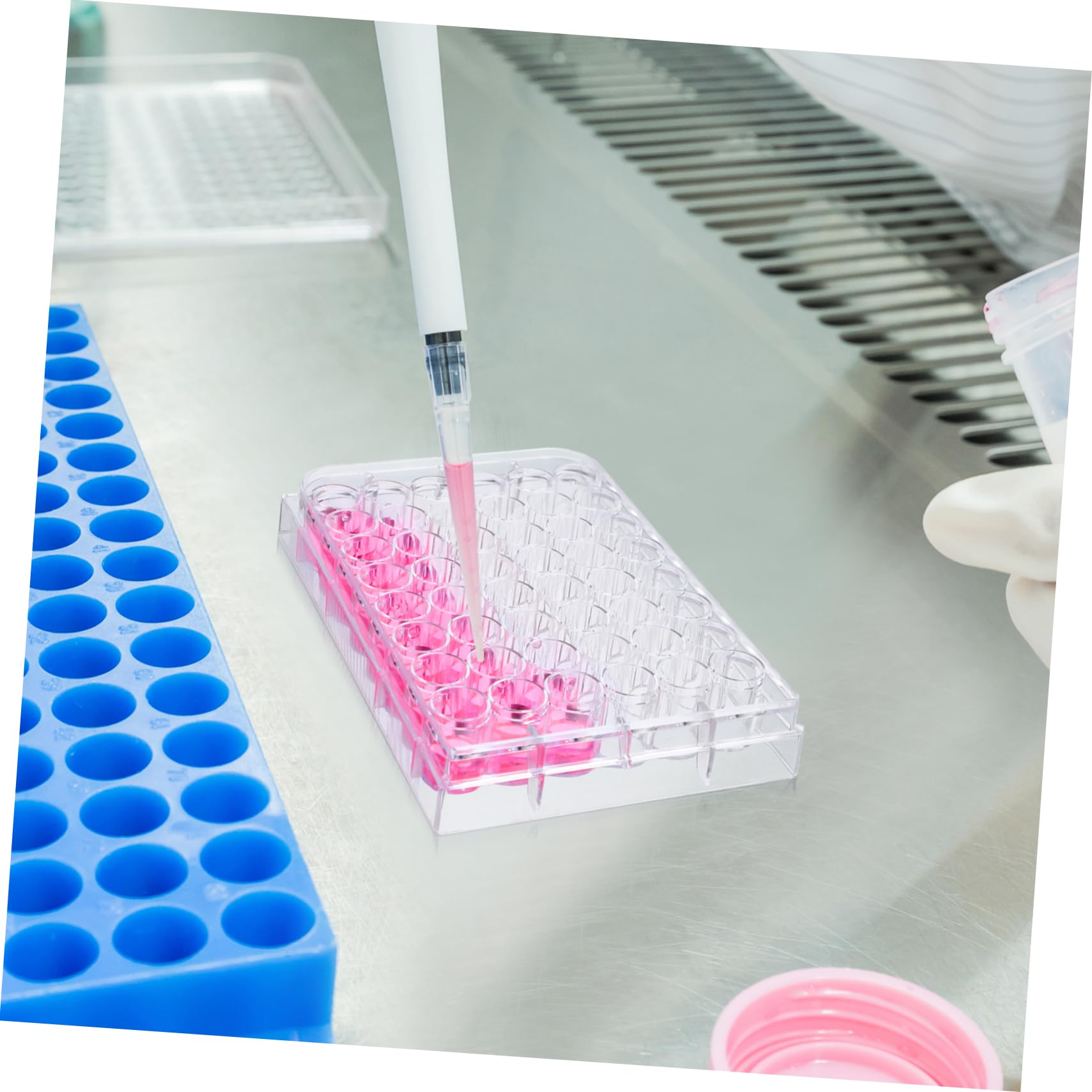GLEAVI 15 Pezzi piastra di coltura cellulare scientifico piastra per coltura tissutale con coperchio BENE petri piatto pasquale asse vaschetta plastica piastra di coltura per