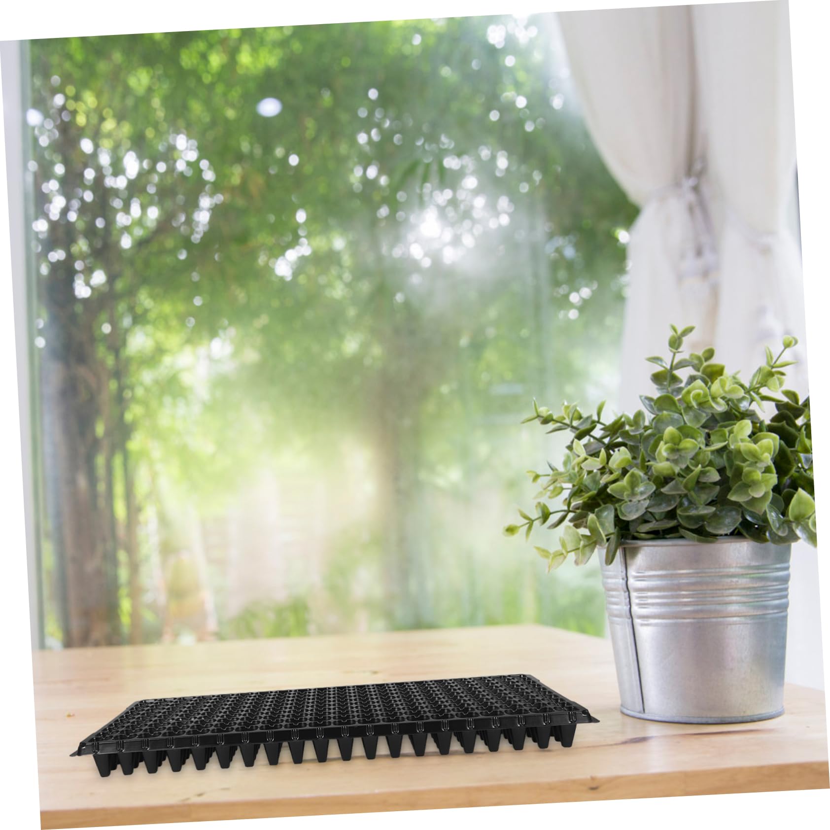 SOIMISS Plateau de Culture Noir en PVC, 200 Alvéoles, 10 Pièces