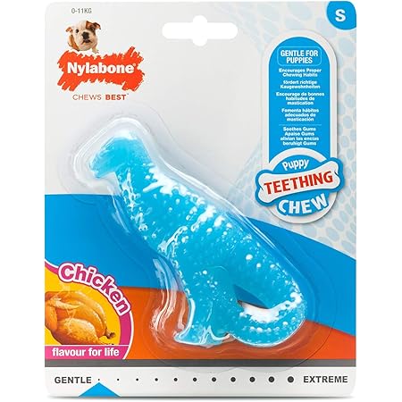 puppy teething pacifier