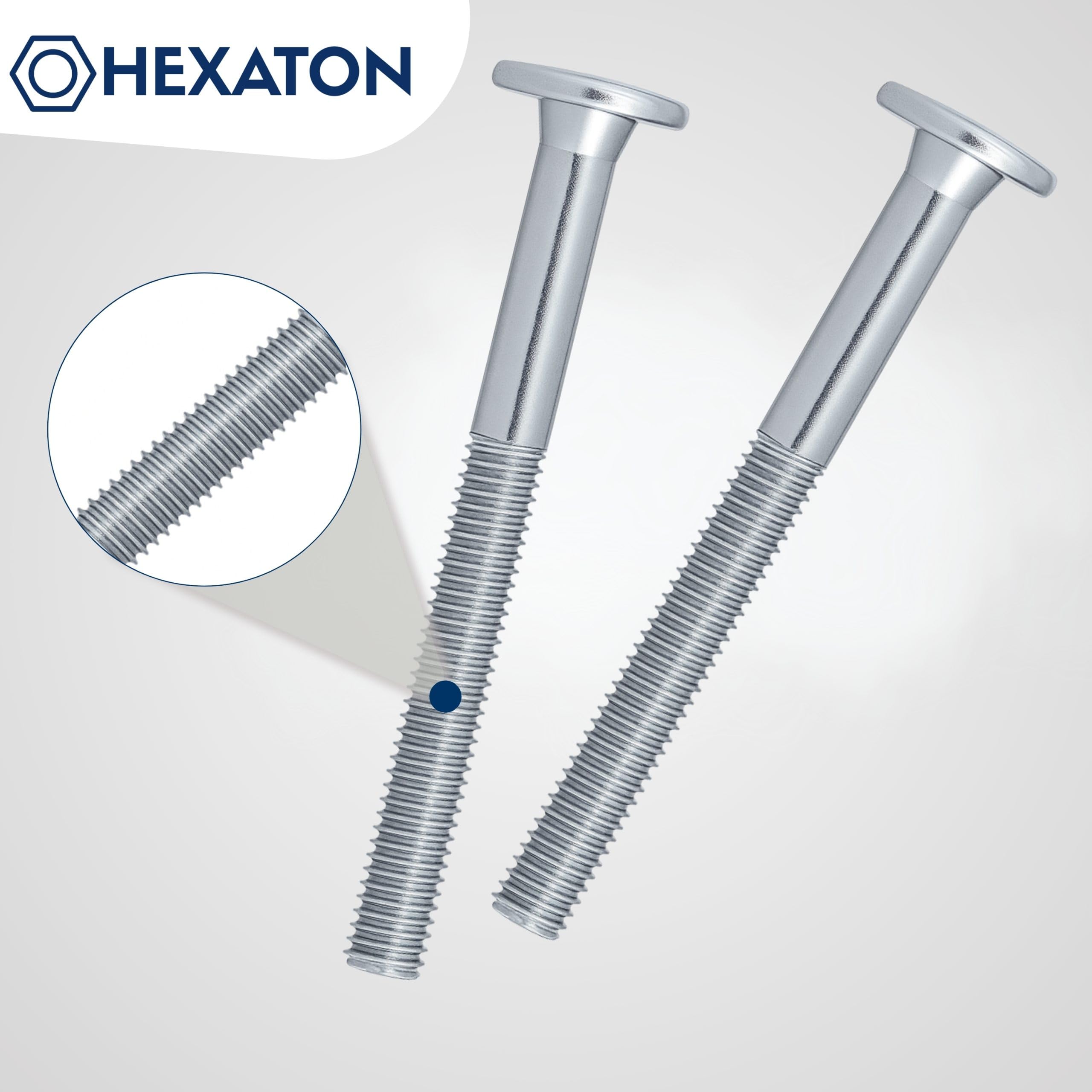 HEXATON Vis Mécaniques M6 x 55 mm – Lot de 50 – Tête Cylindrique à 6 Pans Creux – Acier Zingué Blanc – Filetage Métrique Partiel
