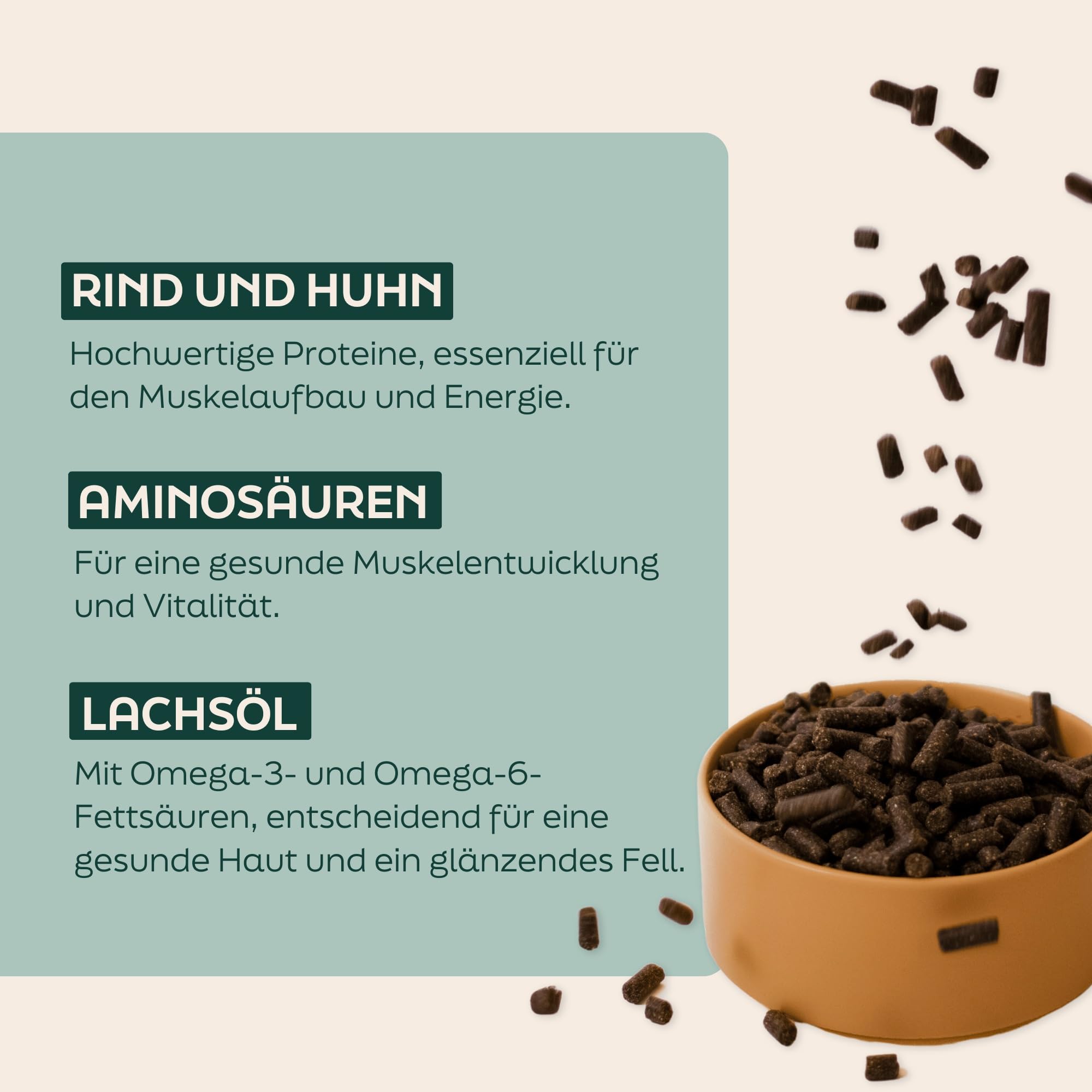 Regular 36kg kaltgepresstes Hundefutter mit Rindfleisch | Trockenfutter, natürliche Zutaten, leicht verdaulich, ohne Weizengluten