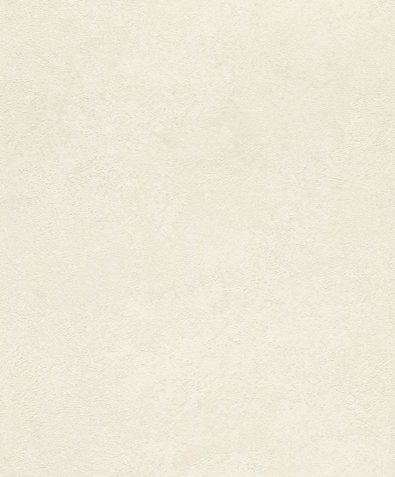 Rasch Factory V Collection 315103 Non-Woven Wallpaper White Metallic Plain Concrete Look Structure