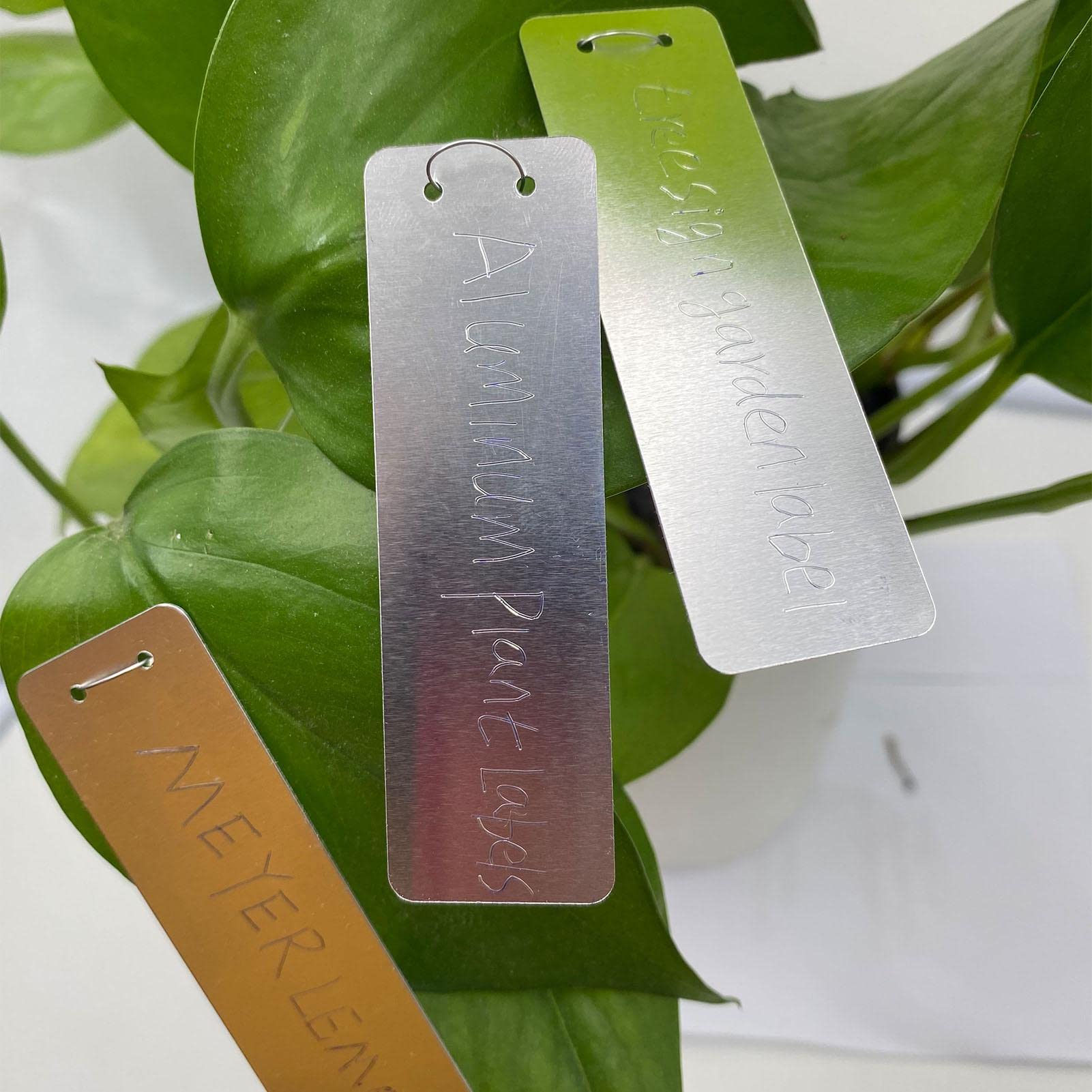 Amazon.co.jp: 園芸ラベル 園芸用ラベル 植物ラベル アルミニウム